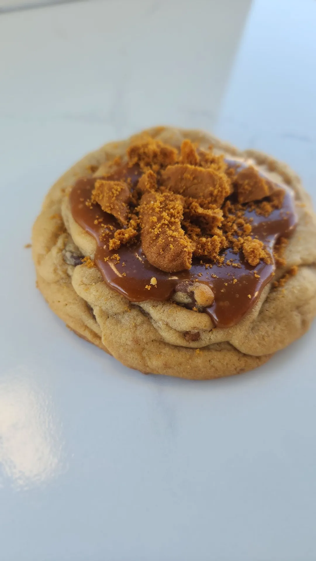 The Velvet Whisk Biscoff chocolate chip cookie