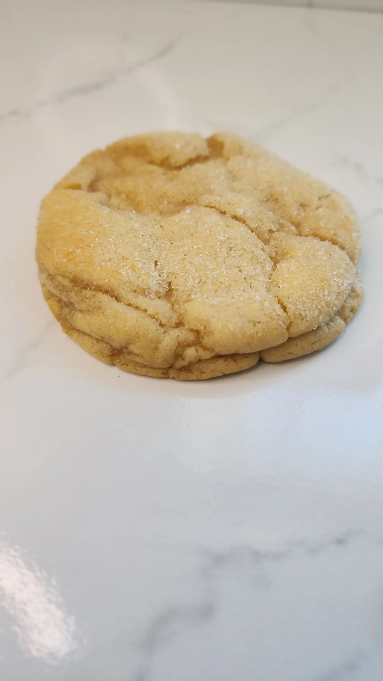 The Velvet Whisk sugar-dusted sugar cookie