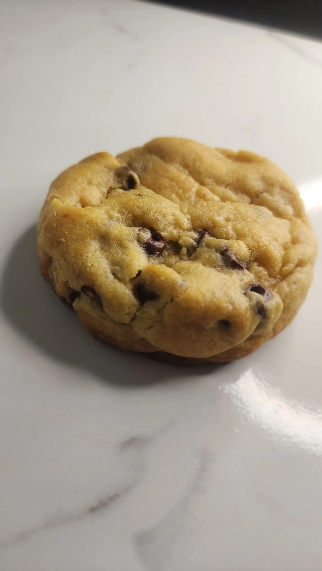 The Velvet Whisk chocolate chip cookie